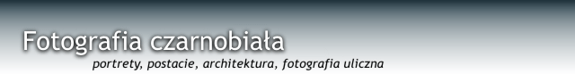 main logo