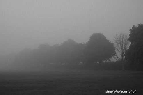 Thetford - Norfolk. Pejzaż poranny we mgle, fotografia krajoznawcza