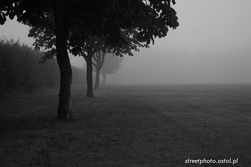 Thetford - Norfolk. Pejzaż poranny we mgle, fotografia krajoznawcza