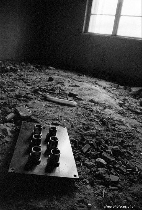 Martwa natura.