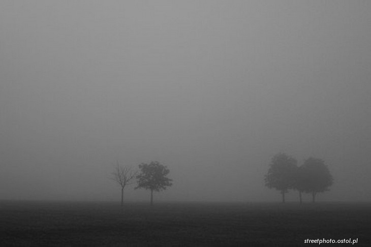 Thetford - Norfolk. Pejzaż poranny we mgle, fotografia krajoznawcza