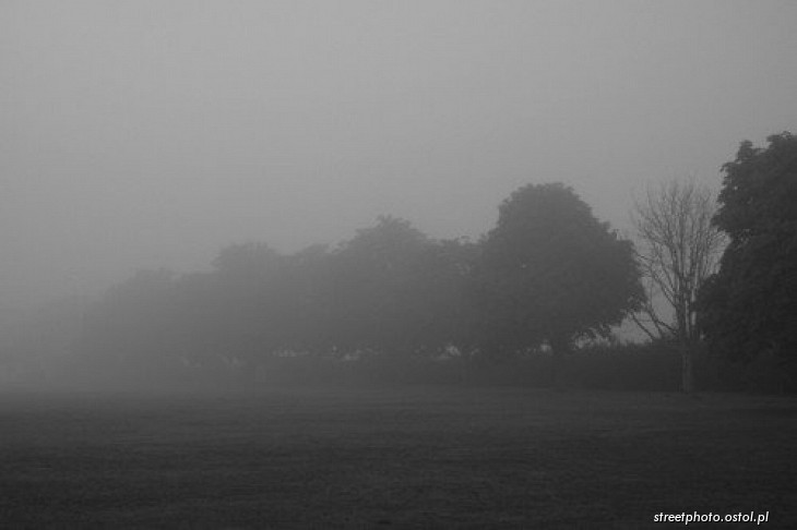 Thetford - Norfolk. Pejzaż poranny we mgle, fotografia krajoznawcza