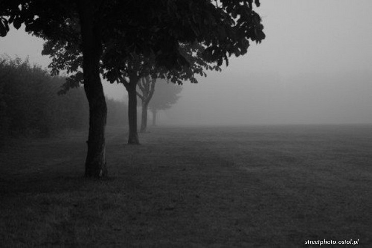 Thetford - Norfolk. Pejzaż poranny we mgle, fotografia krajoznawcza