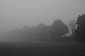 Thetford - Norfolk. Pejzaż poranny we mgle, fotografia krajoznawcza